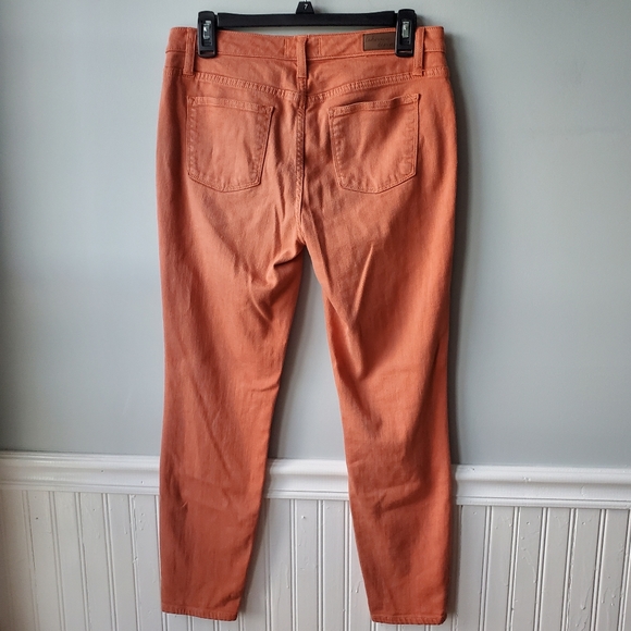 Lakeview Denim Mid Rise Salmon Skinny Jeggings Size 29 - Picture 4 of 13